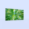LED Screens